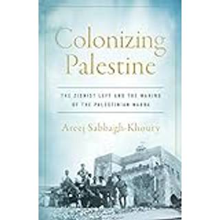Colonizing Palestine