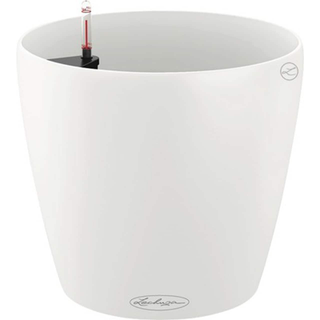 Lechuza Classico Color - Model 70