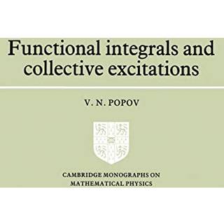 Functional Integrals and Collective Excitations