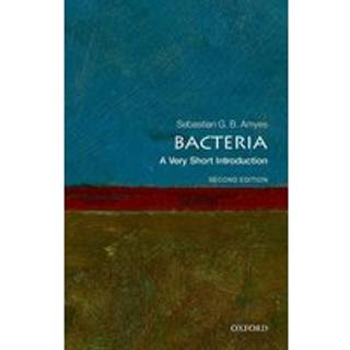 Bacteria