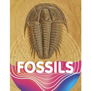 Fossils