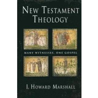 New Testament Theology PB