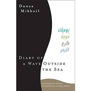Diary of a Wave Outside the Sea