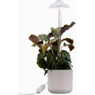 AIRAM Iris Plantebelysning 5W Dæmp med touch 9610533