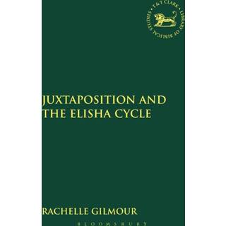 Juxtaposition and the Elisha Cycle