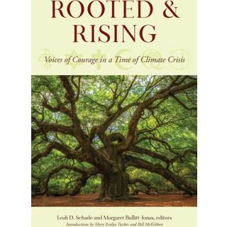 Rooted and Rising
