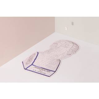 Puslespil - Slow Puzzle (Phrenology)