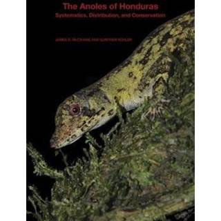 The Anoles of Honduras