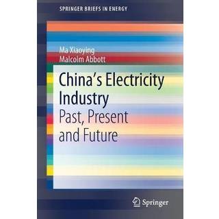 China’s Electricity Industry