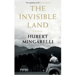 The Invisible Land