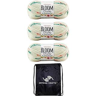 Premier Yarns Bloom Chunky Gerbera 1114-21 (3-SKEINS-Samme farvestof) Chunky voluminøs #5 akrylgarn til hækling og strikning med projektpose