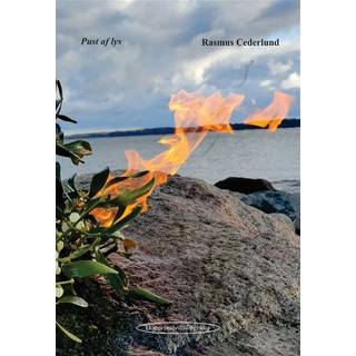 Pust af lys (2, 2024) | Rasmus Cederlund