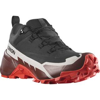 Salomon Cross Hike GTX 2