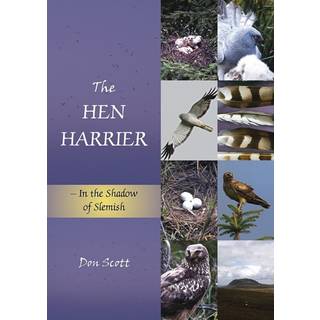 The Hen Harrier