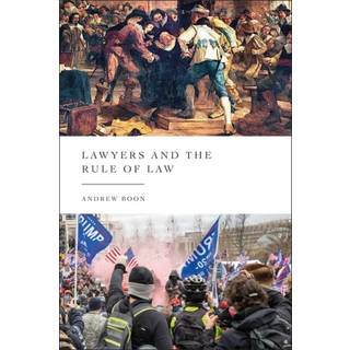 Lawyers and the Rule of Law