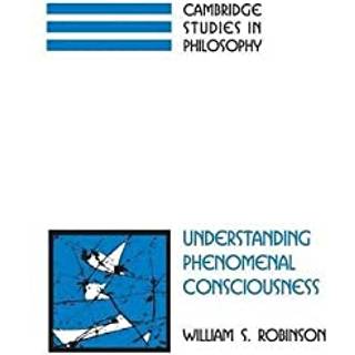 Understanding Phenomenal Consciousness