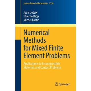Numerical Methods for Mixed Finite Element Problems