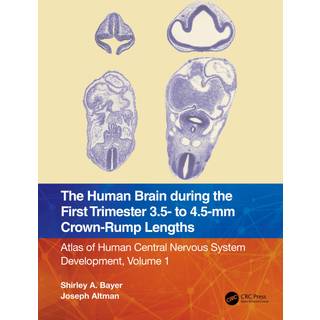 The Human Brain during the First Trimester 3.5- to 4.5-mm Crown-Rump Lengths