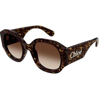 Chloé Kvinde Chloé CH0234S 002 Solbriller Acetat Havana Brun Rund