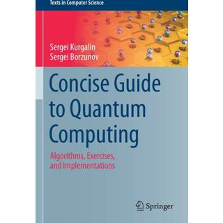 Concise Guide to Quantum Computing