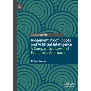 Judgement-Proof Robots and Artificial Intelligence