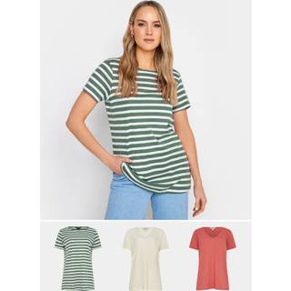 Lts Tall 3 Pack Cream & Khaki Green Stripe Short Sleeve Tshirts 22-24 Lts | Tall Women's T-Shirts