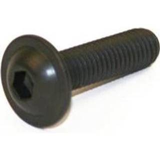 Insexskrue bh m/fl 7380-2 10.9 m8x25