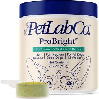 PetLab Co. ProBright Dental Powder - Hundeluftopfrisker - Tandrensning gjort let - rettet mod tandsten og drlig nde - Formuleret til mellemstor