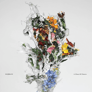 Big / Brave - A Chaos Of Flowers