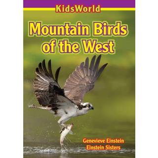 Mountain Birds of the West