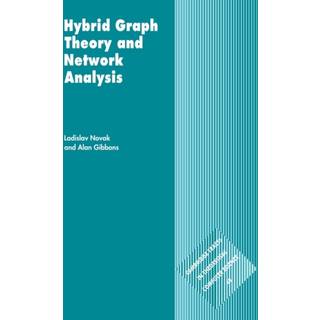 Hybrid Graph Theory and Network Analysis