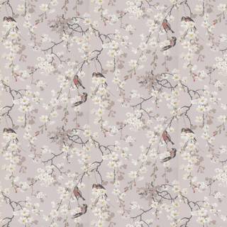 Little Greene Wallpaper Massingberd Blossom 0260MAGREYZ