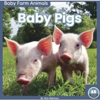 Baby Pigs