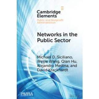 Networks in the Public Sector