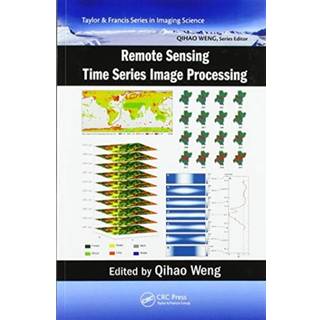 Remote Sensing Time Series Image Processing
