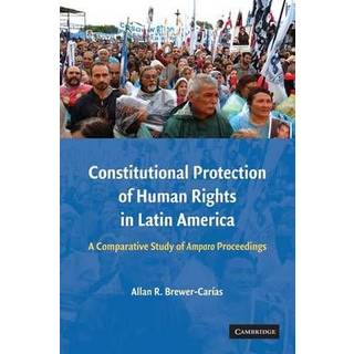 Constitutional Protection of Human Rights in Latin America