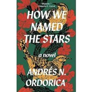 How We Named the Stars