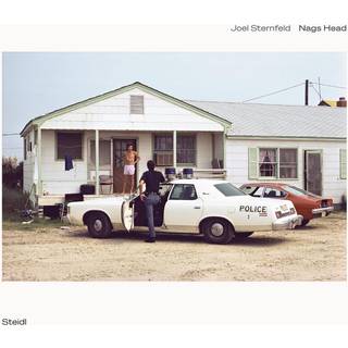 Joel Sternfeld: Nags Head