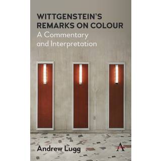 Wittgenstein’s Remarks on Colour