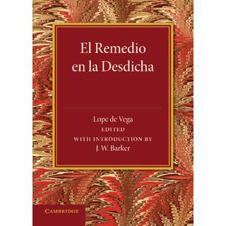 El remedio en la desdicha