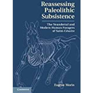 Reassessing Paleolithic Subsistence