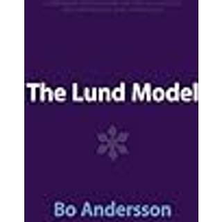 The Lund Model