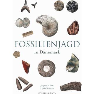 Fossilienjagd in Dänemark