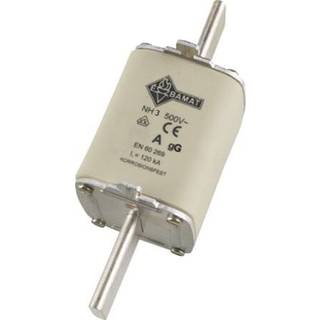 Siba Sikring nh3/2 250A gg 500v