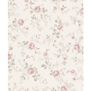 Rose Garden - 6928