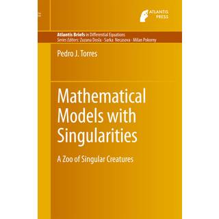 Mathematical Models with Singularities