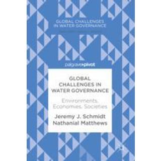 Global Challenges in Water Governance