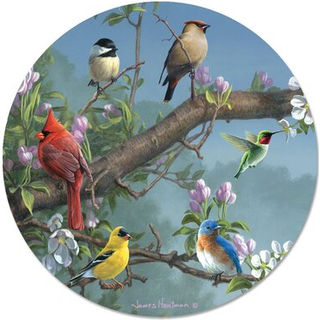 Modart smukke sangfugle dovne susan glas serveringsplade