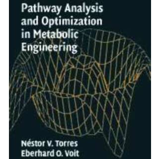 Pathway Analysis and Optimization in Metabolic Engineering