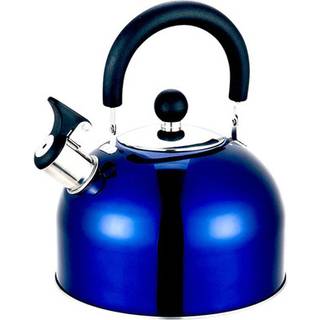 2 Litre Stainless Steel Whistling Kettle (Blue)